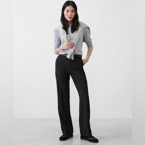 Banana Republic Straight Sculpted Pants | Black